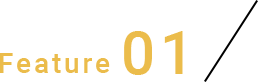 Feature01